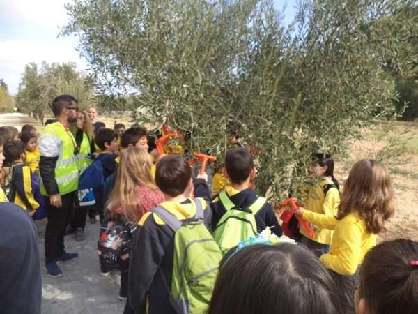 005_-_Αντιγραφή