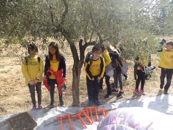 006_-_Αντιγραφή