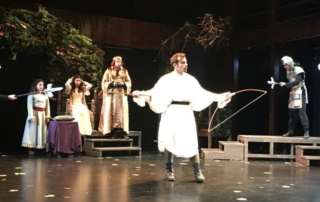 "Ρομπέν των Δασών"