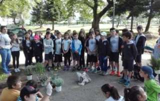 Γιορτές λουλουδιών και πρασίνου (Δ΄ τάξη)