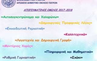 Όμιλοι Απογευματινών Δραστηριοτήτων