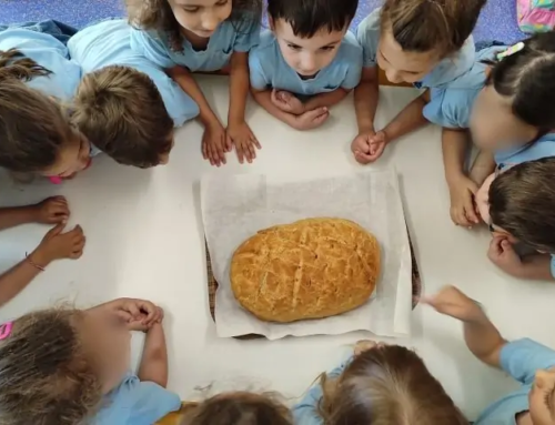 Από το σιτάρι στο ψωμί… μια ιστορία μαγική!