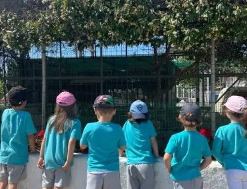 Ψυχαγωγική καλοκαιρινή εξόρμηση