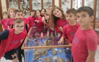 25693-pagkosmia-imera-zoon-sto-mouseio-fysikis-istorias-tou-scholeiou-mas