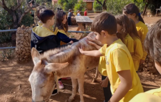 25794-taksidevontas-sti-gaidourochora