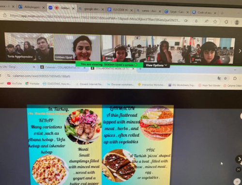 Online meetings και e-magazine, δράσεις eTwinning