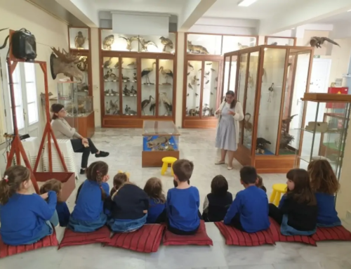 Πληροφορίες για τα ζώα όλου τού κόσμου αναζητούμε, στο Μουσείο τού Αρσακείου θα τις βρούμε!