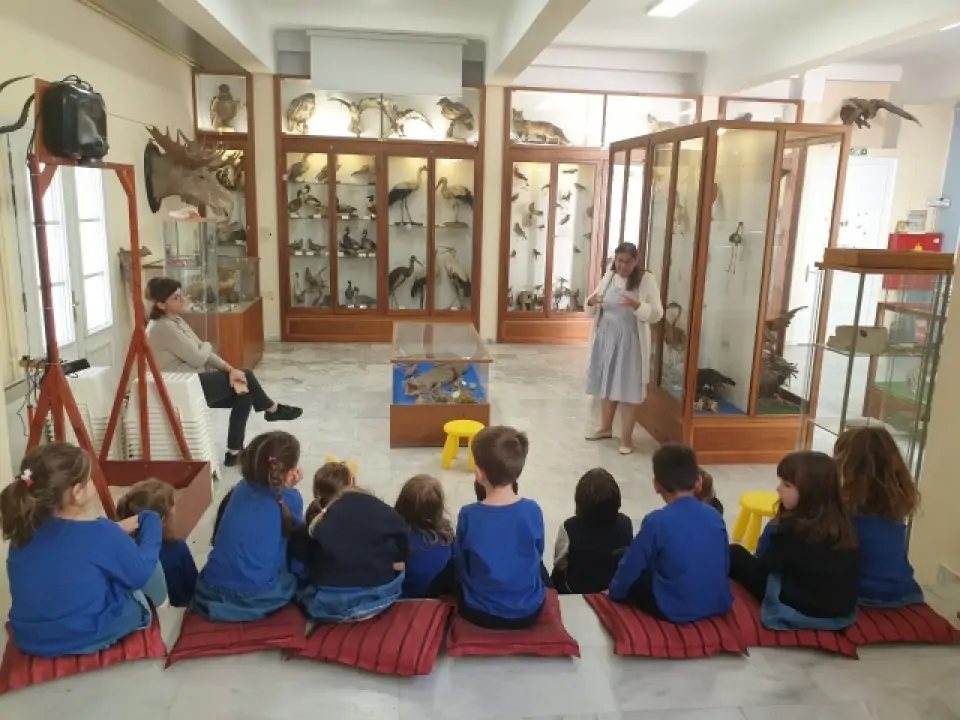 25852-plirofories-gia-ta-zoa-olou-tou-kosmou-anazitoume-sto-mouseio-tou-arsakeiou-tha-tis-vroume