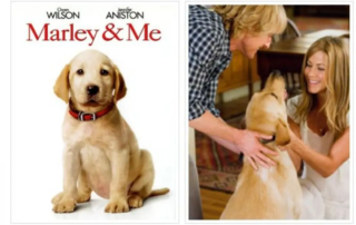 25855-sti-megali-othoni_-marlei-enas-megalos-mpelas