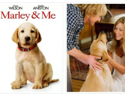 Στη μεγάλη οθόνη: «Μάρλεϊ, ένας μεγάλος μπελάς»