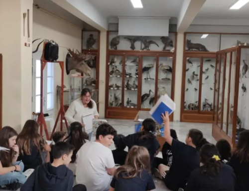 Τα φτερά της γνώσης: Μια βιωματική προσέγγιση στη μελέτη των πτηνών