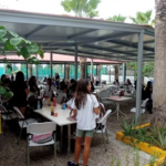 25874-panellinia-imera-athlitismou