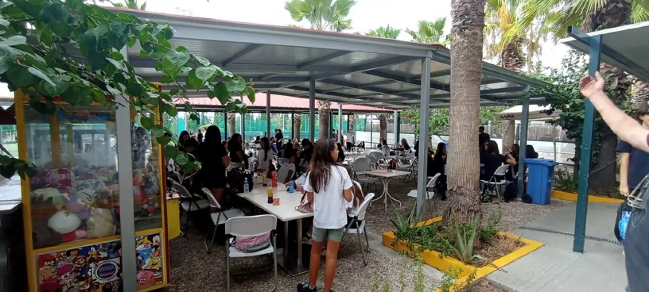 25874-panellinia-imera-athlitismou