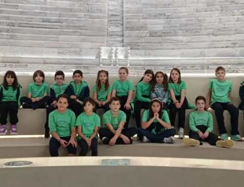 Ολυμπιακό Μουσείο -Δ΄ Τάξη