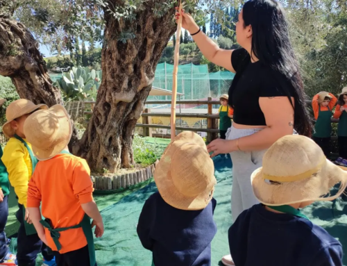 Είμαι του Ήλιου η θυγατέρα η πιο απ’ όλες χαϊδευτή… είμαι η Ελιά η τιμημένη! (Κωστής Παλαμάς)