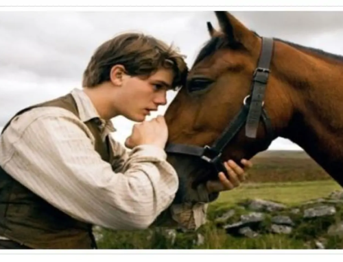 Περί βιβλίων… «Το άλογο του πολέμου»