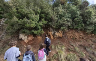 25957-i-d΄-taksi-sto-dasos…-en-somati-ygiei