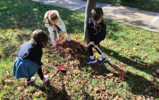 26135-myrise-fthinoporo