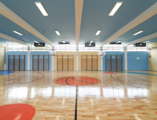 Συνεργασία του Σχολείου μας με την Eurohoops Academy