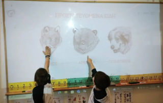 26231-i-a΄-taksi-yiothetei-mia-mikri-lykaina-apo-ton-arktouro