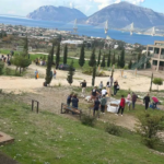 26307-dendrofytefsi-sta-arsakeia-scholeia-patron_-ethelontismos-kalliergeia-perivallontikis-koultouras