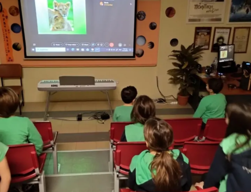 «Τα ζώα έχουν συναισθήματα;»