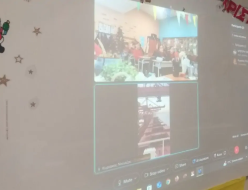 Εκπαιδευτικό πρόγραμμα Adopt a ship- Οι μαθητές της ΣΤ΄2 γνωρίζουν τα μέρη ενός πλοίου