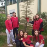 26436-dentro-–-lichoudia-gia-zoakia-kai-poulia-apo-to-st2