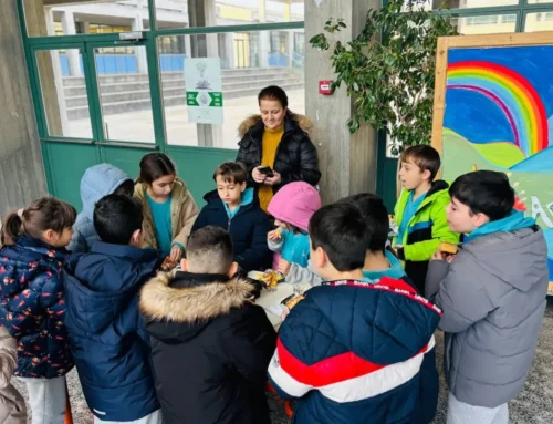 Κοπή Πρωτοχρονιάτικης Βασιλόπιτας