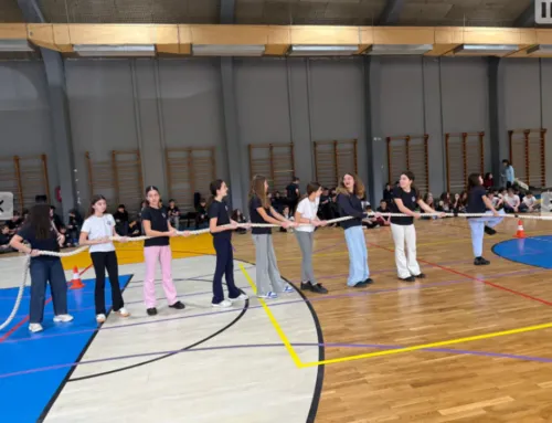 Το άθλημα της διελκυστίνδας